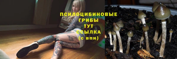 хмурый Алексеевка