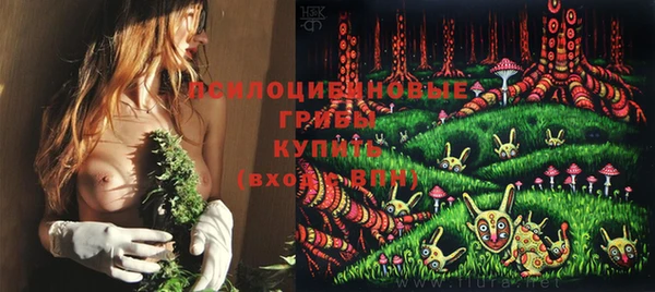 винт Алексин
