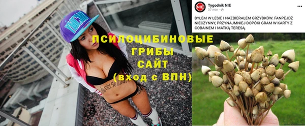 прущая мука Кинешма