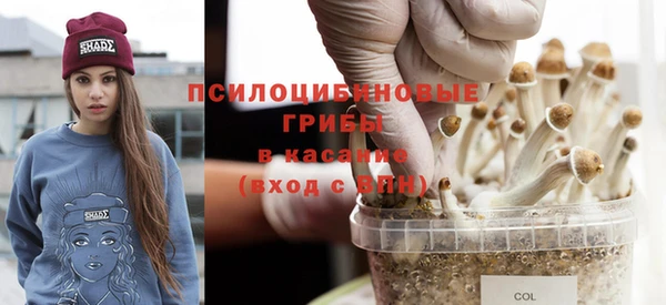 хмурый Алексеевка